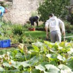 Jardin Médiéval : Participation citoyenne