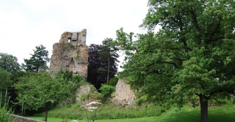 Château et cormier (arbres remarquables)