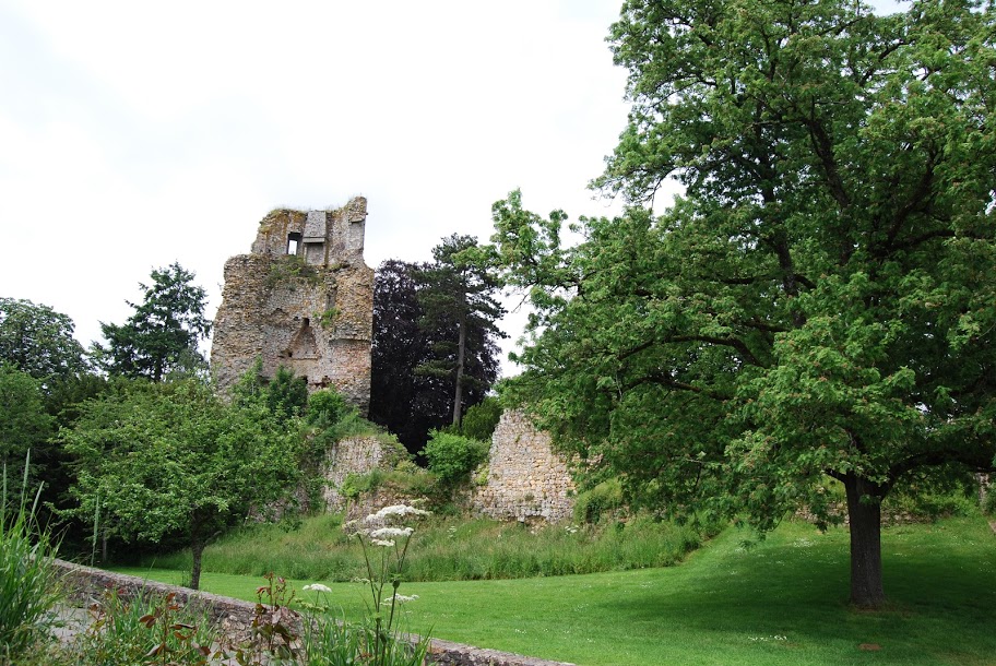 Château et cormier (arbres remarquables)