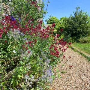 Le jardin médiéval