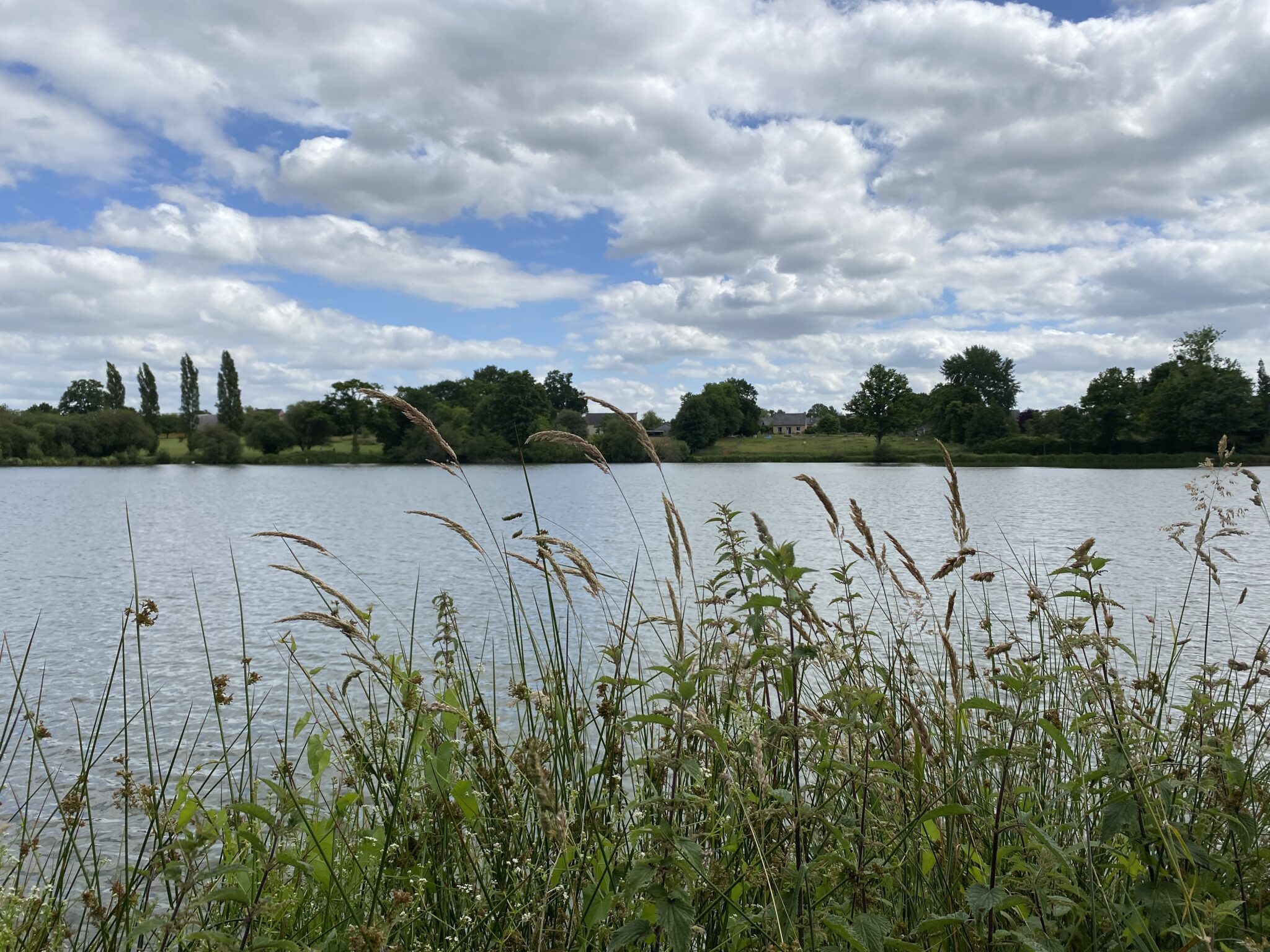 Étang communal SaintAubinduCormier