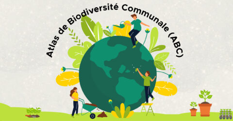 Biodiversité ABC