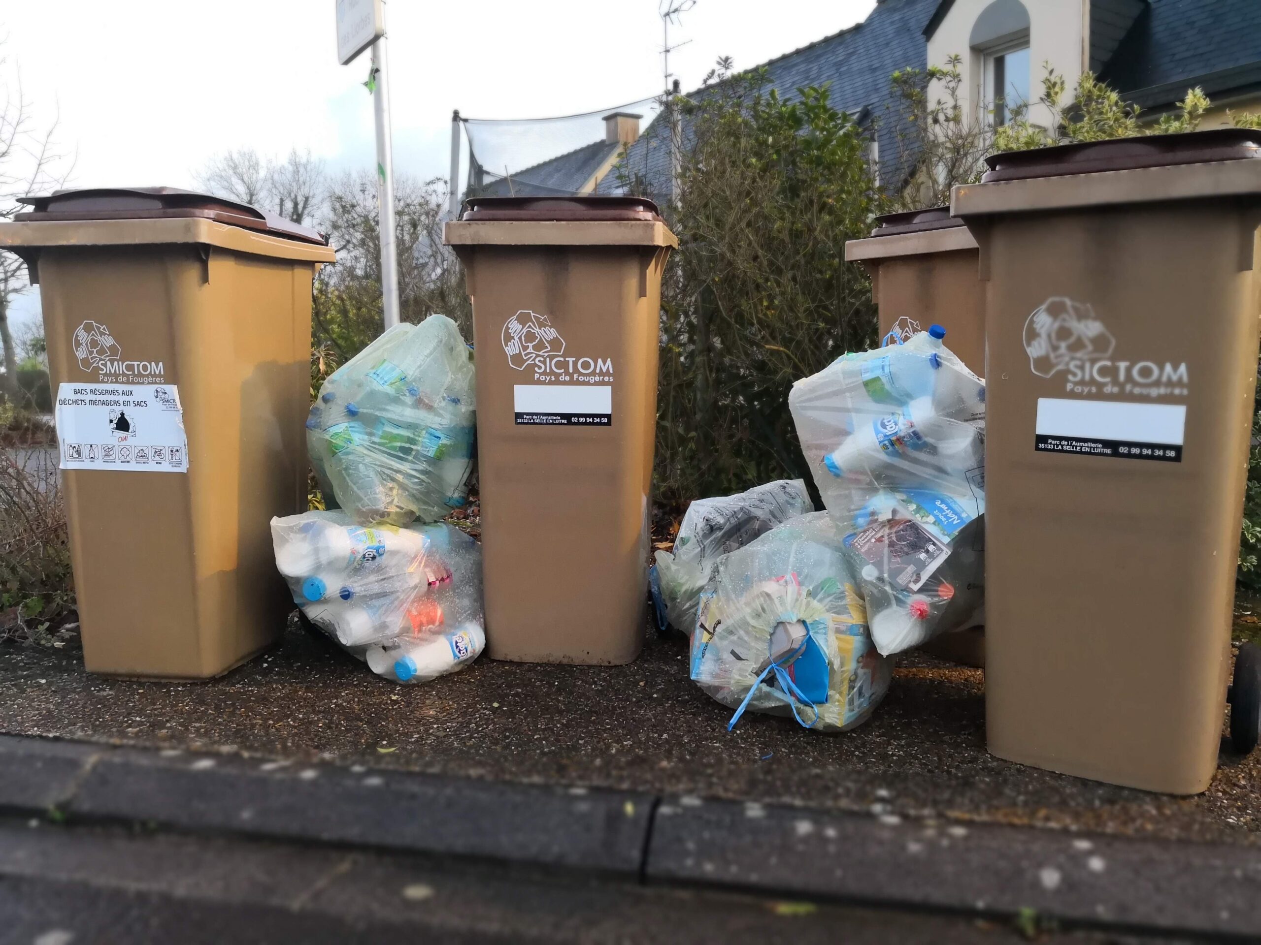 Poubelles sorties trop tôt